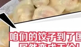 爆料天价水饺视频大全下载,视频大全下载，带你一探究竟
